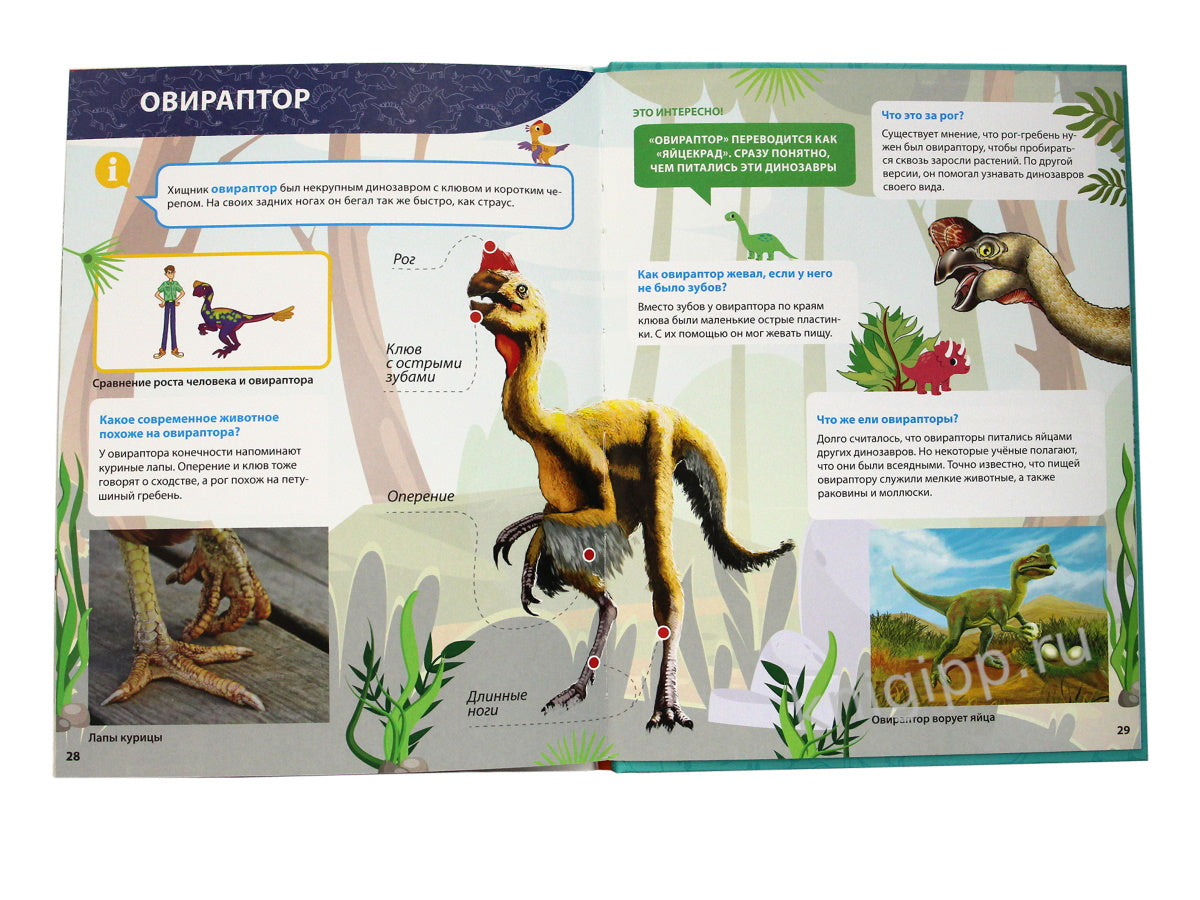 ПЕРВАЯ ДЕТСКАЯ ЭНЦИКЛОПЕДИЯ. ВСЁ О ДИНОЗАВРАХ МАЛЫШАМ