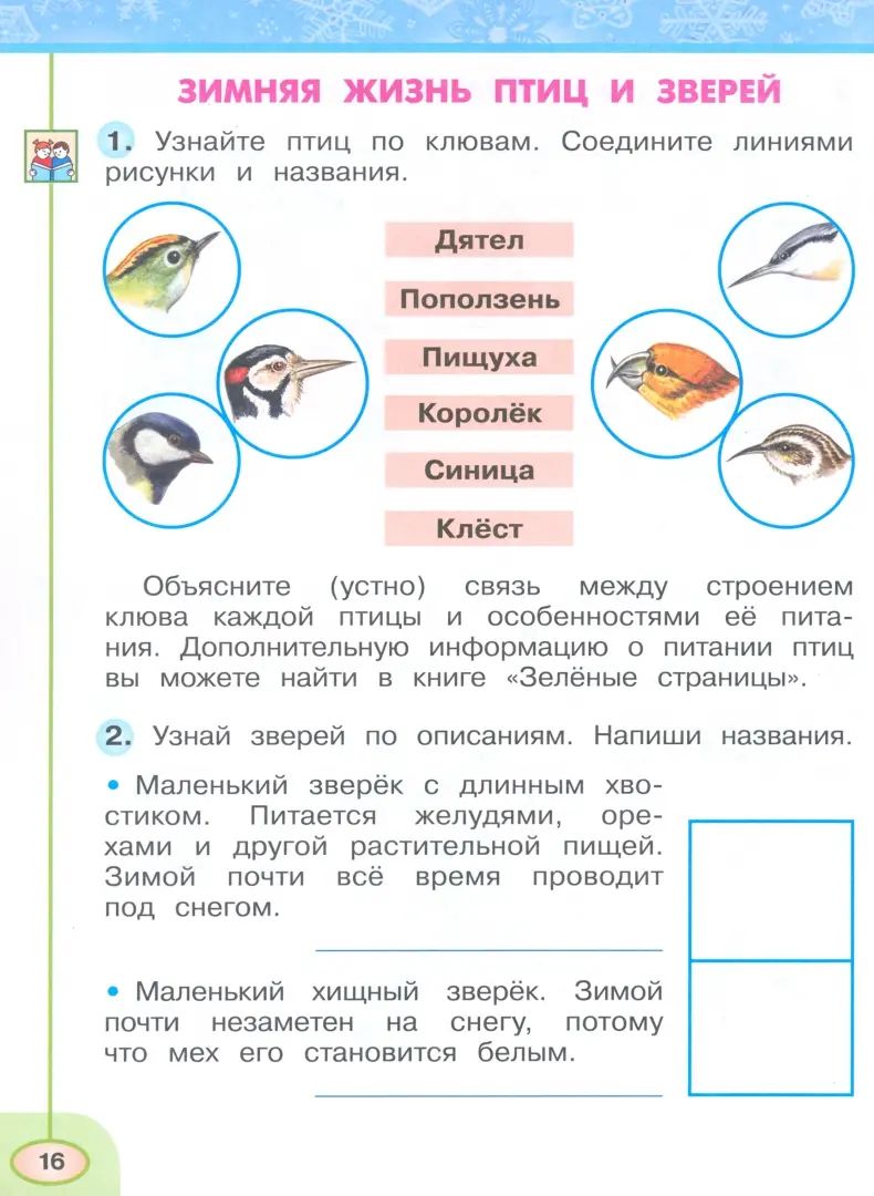 Окружающий мир 2кл ч2 Рабочая тетрадь