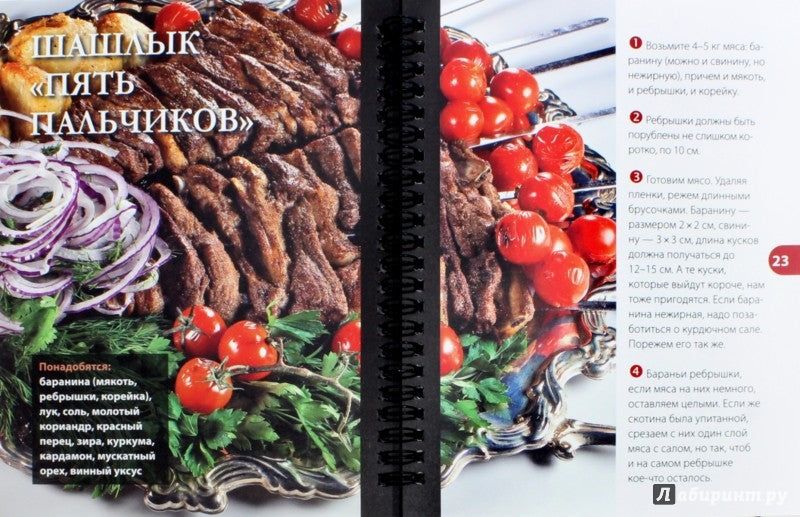 Про шашлык. Непромокаемая книга