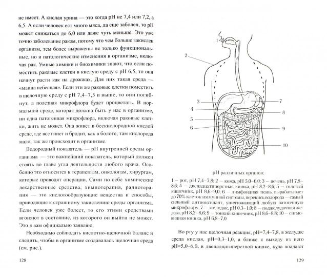 Магнитотерапия и основы электромагнитной безопасности. Мифы и реальность