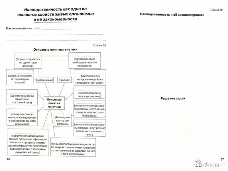 Биология 10-11кл Общая биология (Рабочая тетрадь)