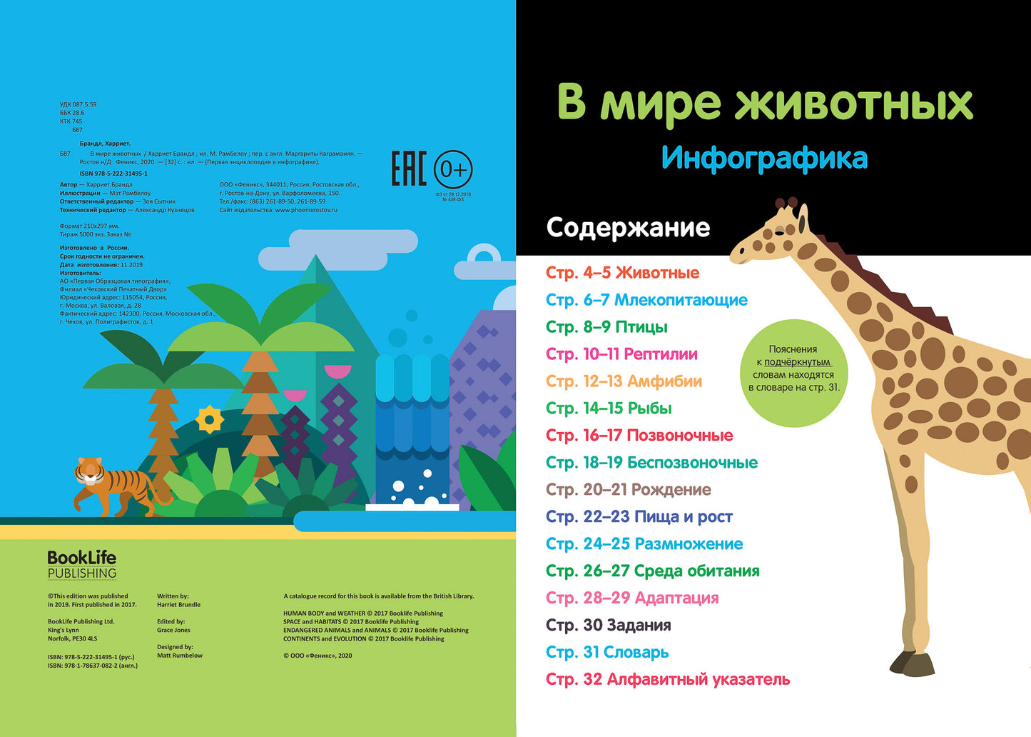 В мире животных: инфографика