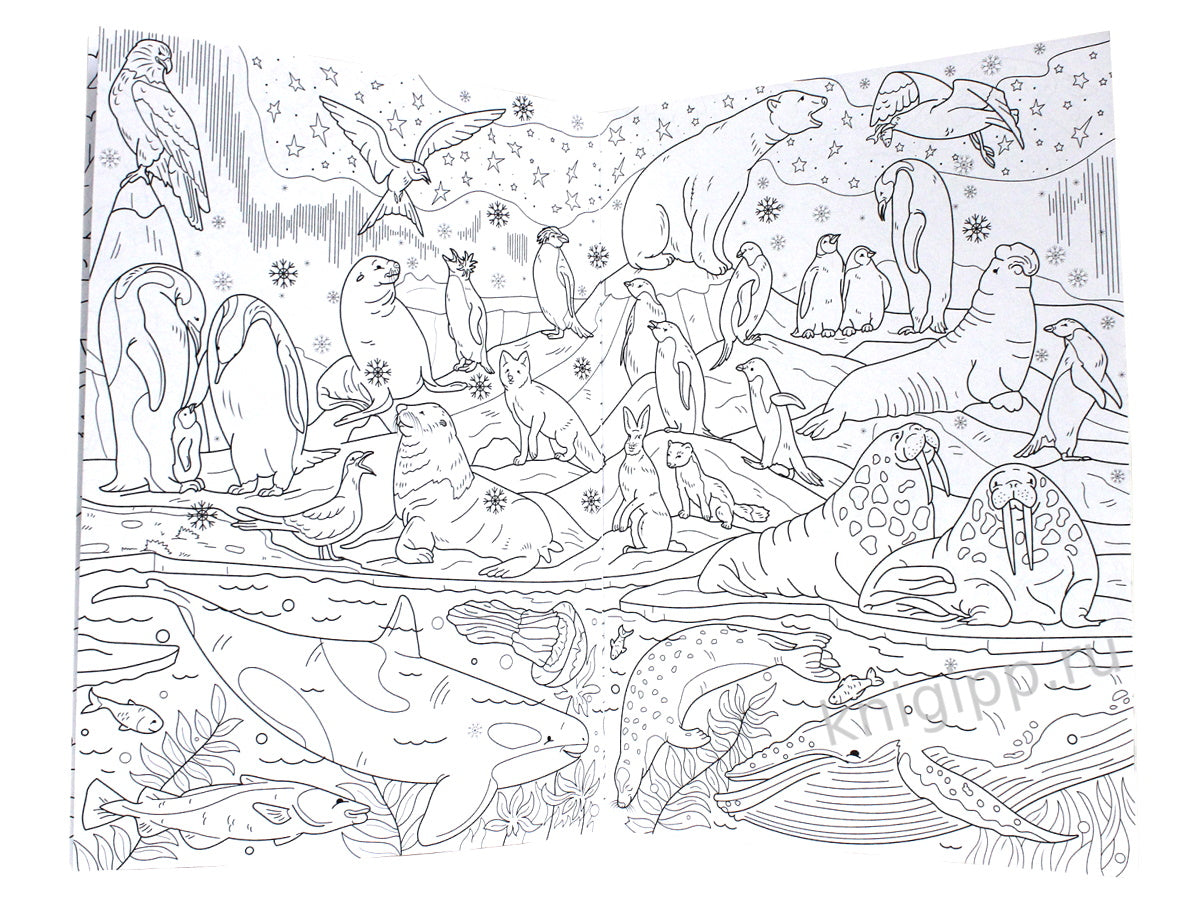 РАСКРАСКА-ВИММЕЛЬБУХ. ЖИВОТНЫЙ МИР