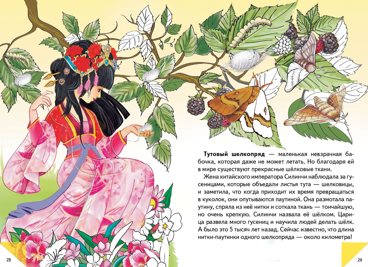 Самые красивые бабочки ; Самые красивые бабочки