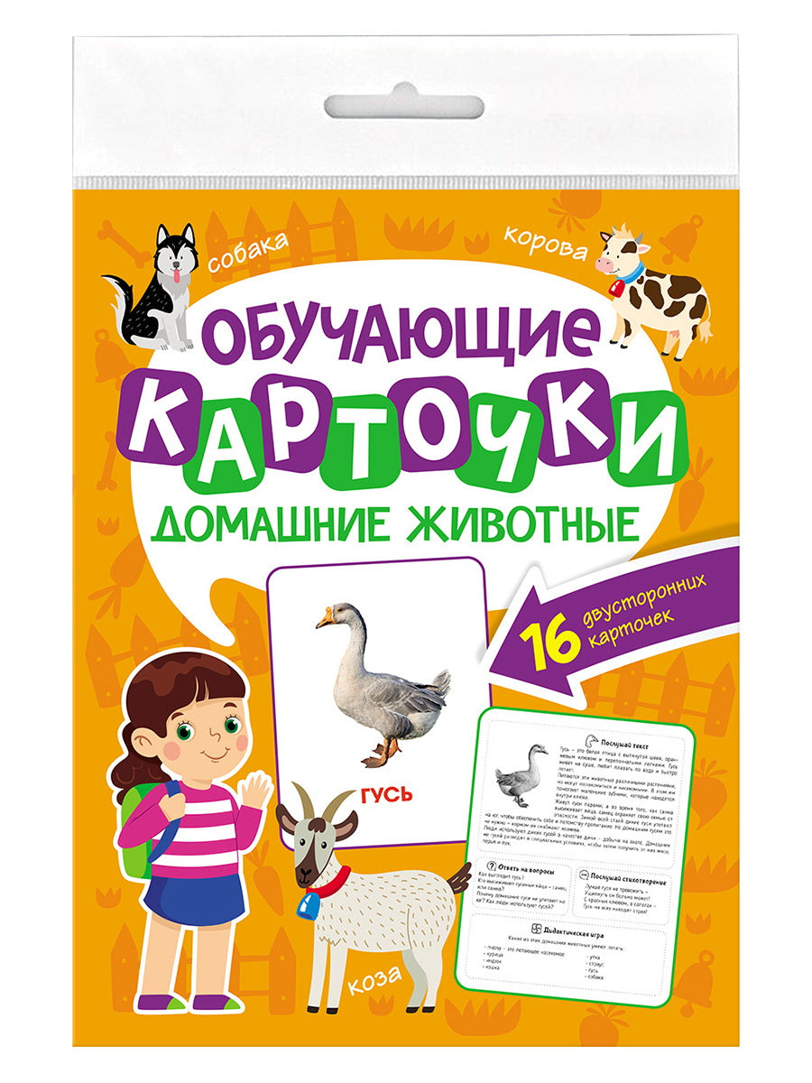 ОБУЧАЮЩИЕ КАРТОЧКИ европодвес. ДОМАШНИЕ ЖИВОТНЫЕ