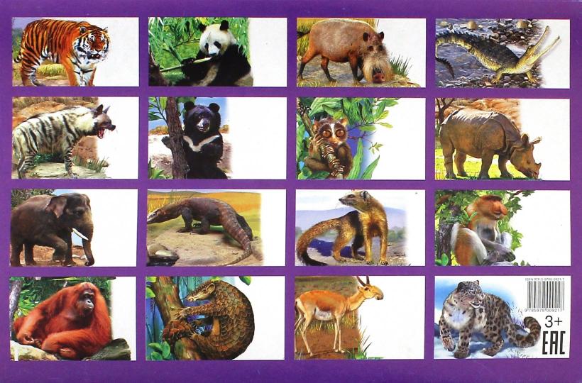 Обучающие карточки. Животные Азии. 3+.