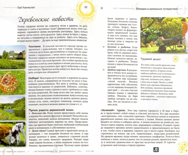 Ура! Каникулы!. Зотов А.А.