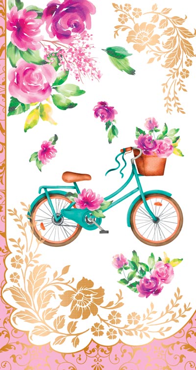 Ц-13271 Ouverture de l'euro pour les légumes et les vélos (sans texte)