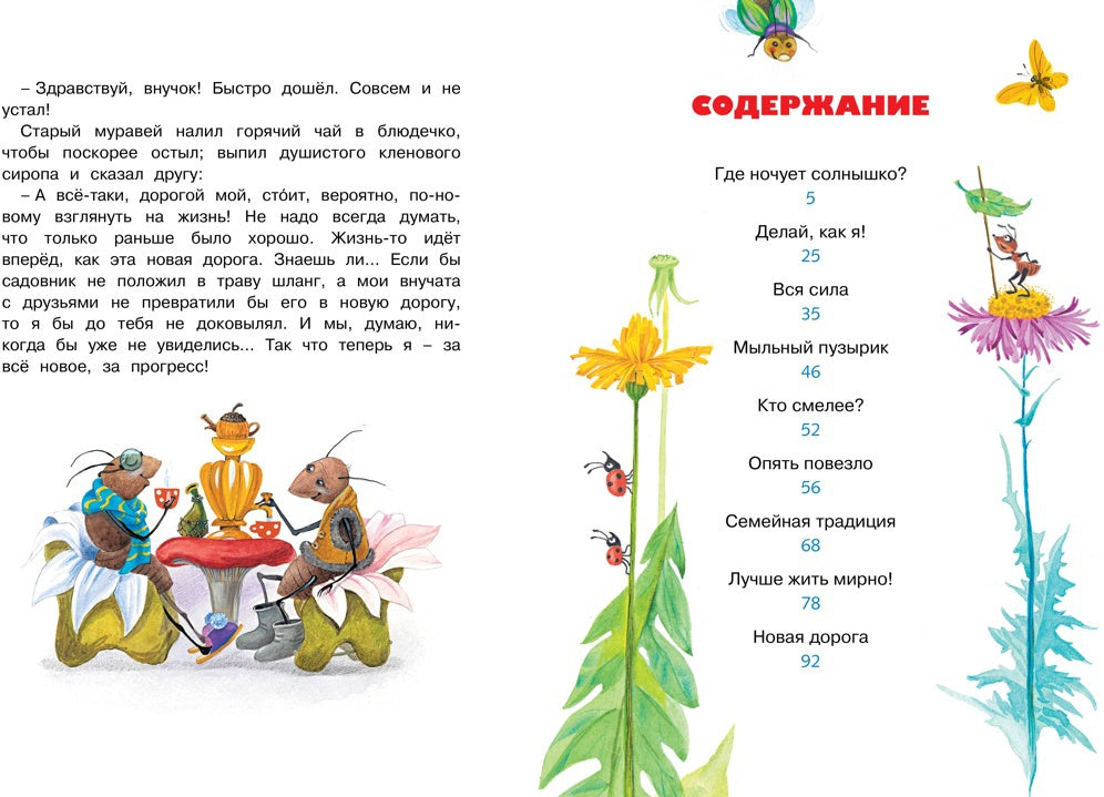 Где ночует солнышко?