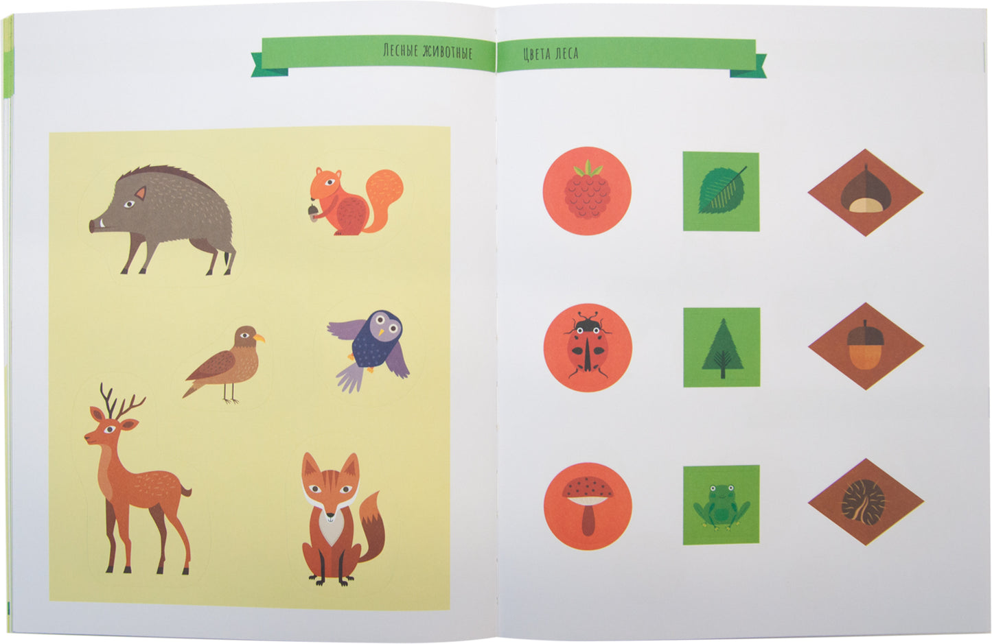 Метод Монтесcори. Развитие через игру. В лесу. Активити с наклейками