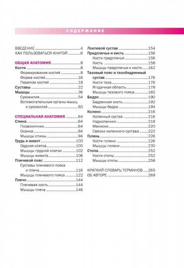 Спортивная анатомия