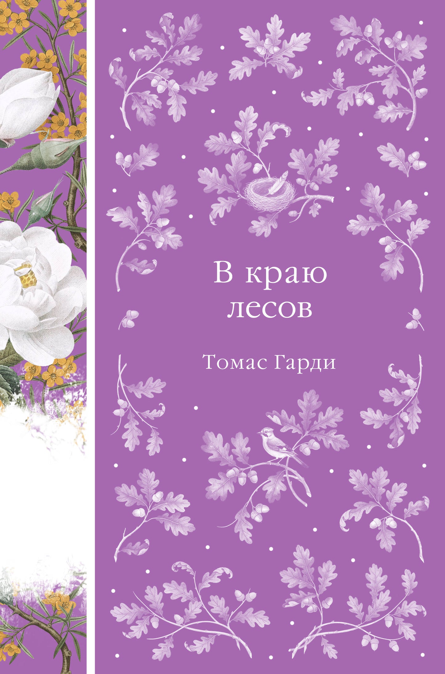 В краю лесов