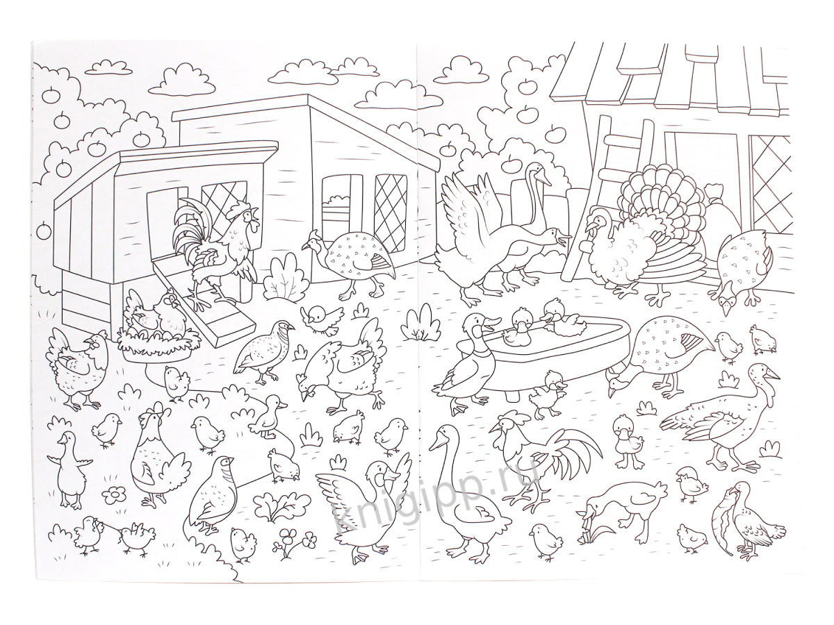 РАСКРАСКА-ВИММЕЛЬБУХ. ДОМАШНИЕ ЖИВОТНЫЕ