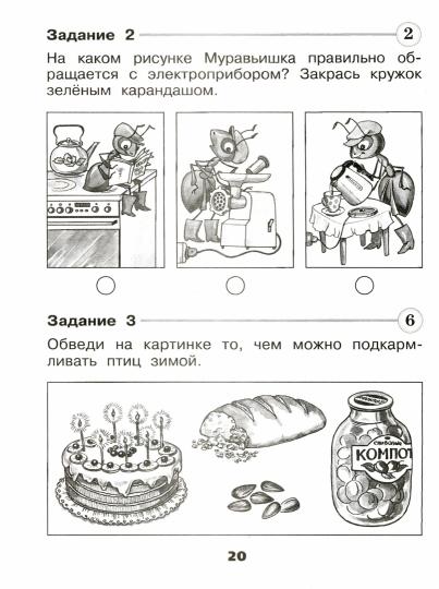 Окружающий мир. Проверочные работы. 1 класс