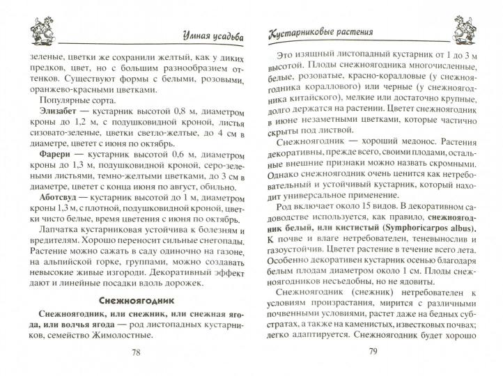Декоративные кустарники