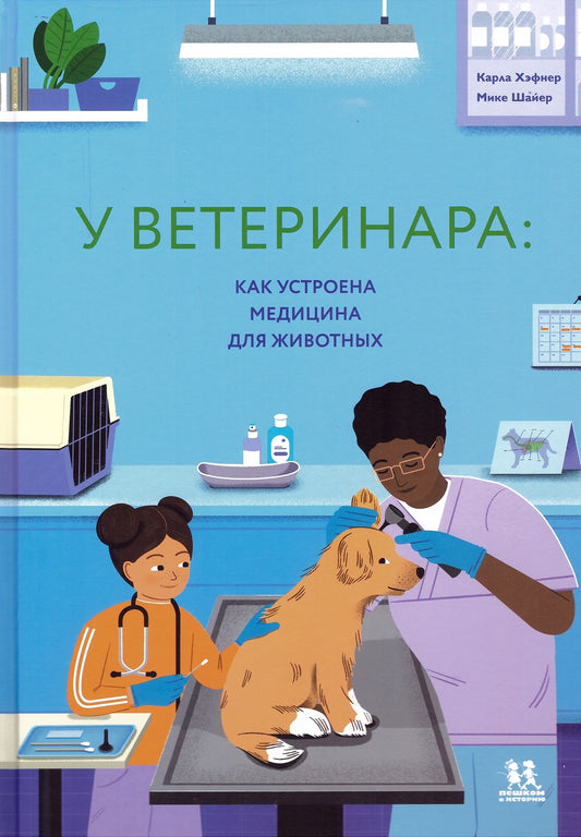 У ветеринара: как устроена медицина для животных