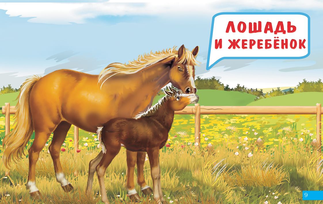 Карточки. Мамы и детки ; Карточки. Мамы и детки