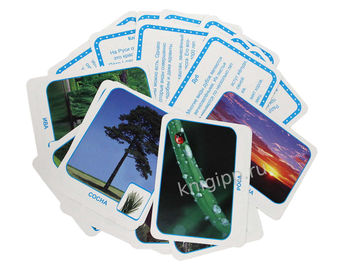 МОИ ПЕРВЫЕ УРОКИ. ПРИРОДА