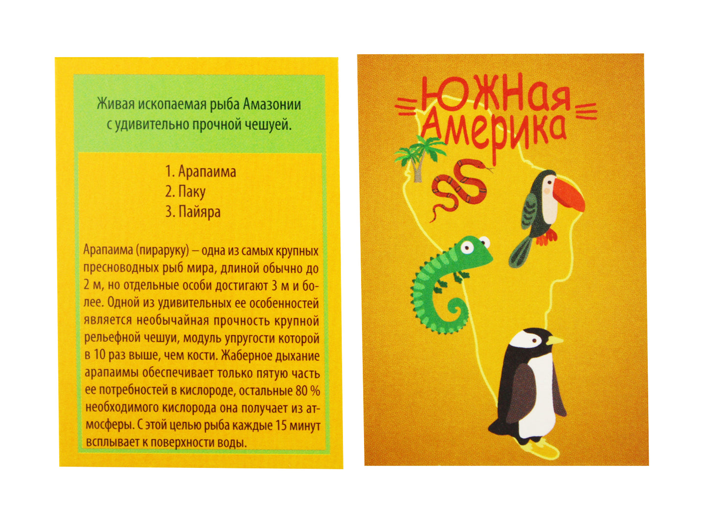 Игра настольная. Викторина для всей семьи "Мир"