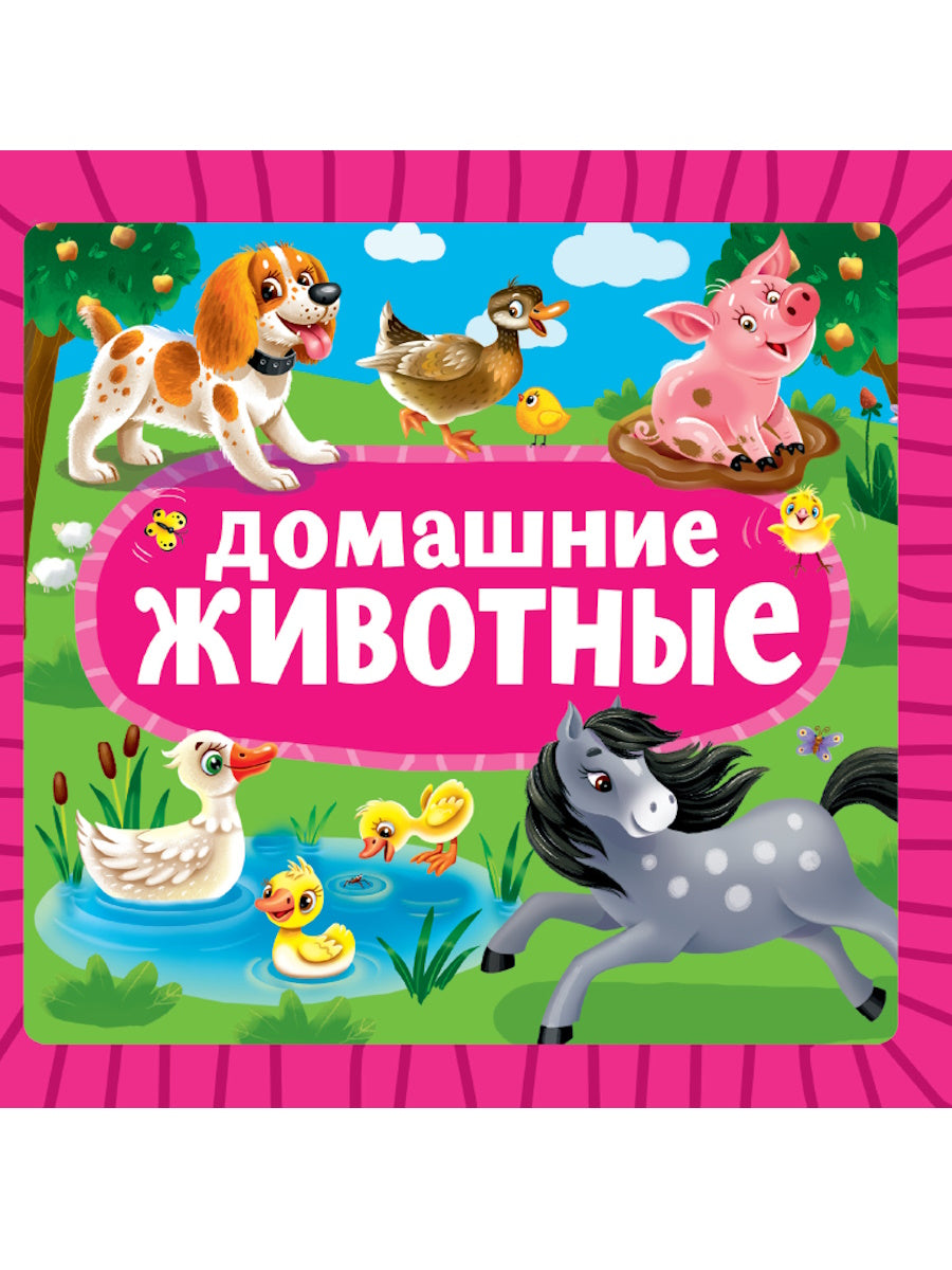 ЦК 145х145. ДОМАШНИЕ ЖИВОТНЫЕ