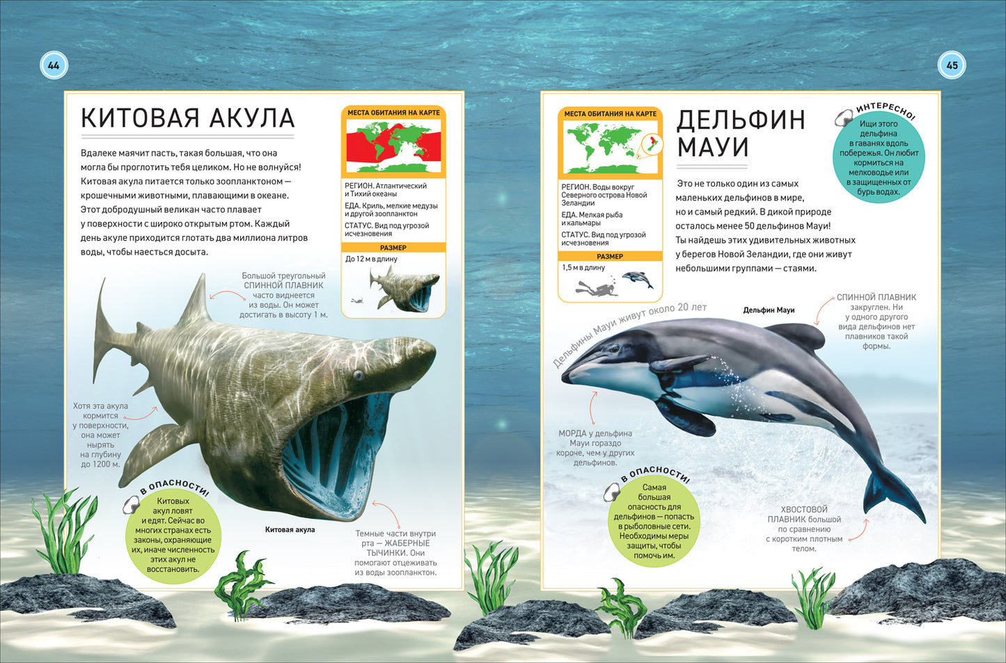 Подводный мир. Полная энциклопедия