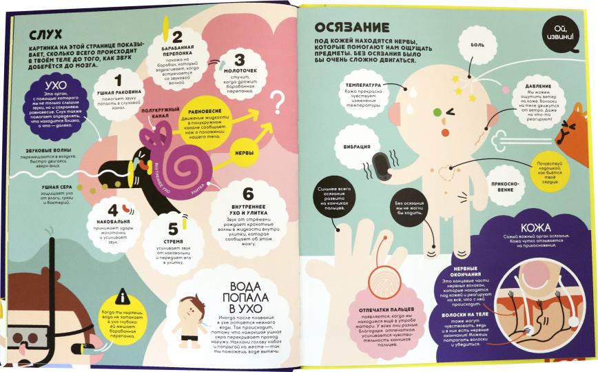 Учимся вместе с Олли и Молли. Человек. Выясняем, как устроен и как работает организм человека