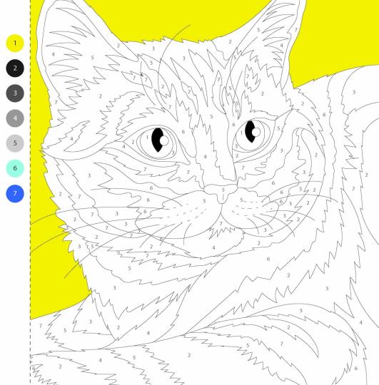 Коты и кошки