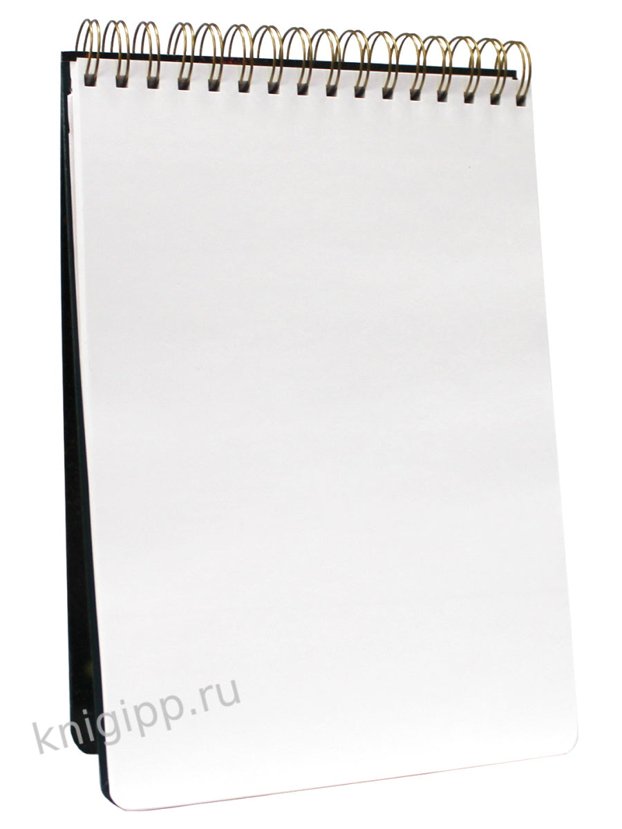 MyArt. СКЕТЧБУК А4 на гребне. ОГНЕННЫЙ КОТ