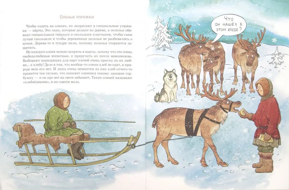 Вот ты какой, северный олень! Вып. 88