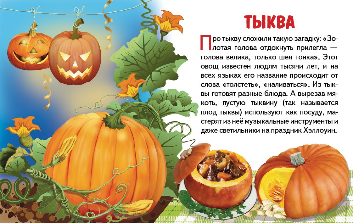 Карточки. Овощи ; Карточки. Овощи