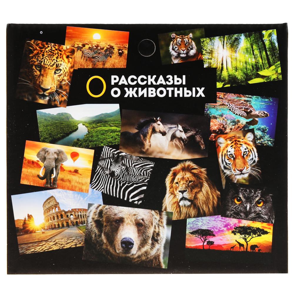 Игрушка пластизоль динозавр трицератопс 14,7*5,3*4,5см, инд. дисплей ТМ "ИГРАЕМ ВМЕСТЕ" в кор.2*90шт