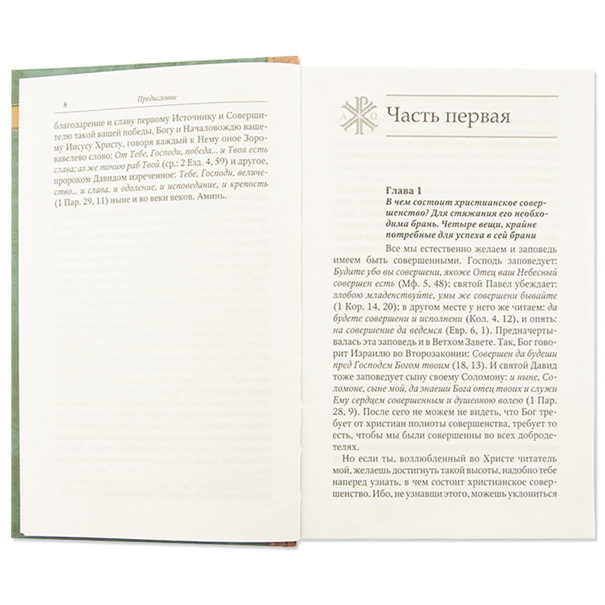 Невидимая брань