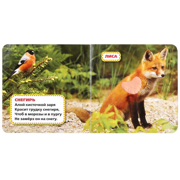 Лесные животные Степанов В.А. (карт. книга 3 разв. с 4 тактил. эл-тами) 120х120мм Умка в кор.144шт