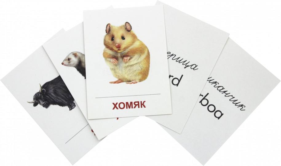 Раздаточные карточки "Дикие животные -2" (63х87мм)