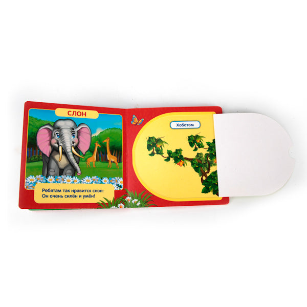 Зоопарк. (Книжка с окошками малый формат). Формат: 127х127мм. Объем: 10 карт. стр. Умка в кор.40шт