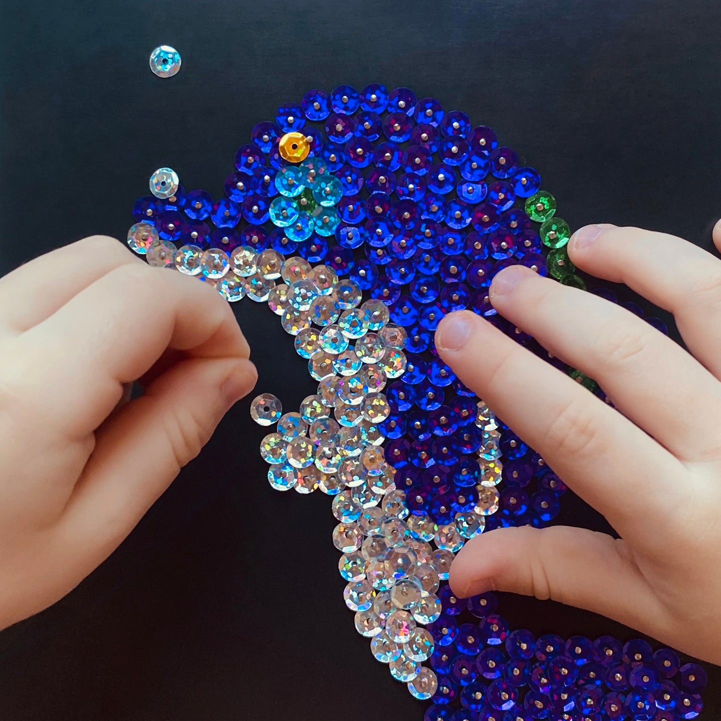 01531 Картина из пайеток. Дельфин