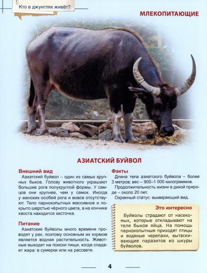 ЭНЦИКЛОПЕДИЯ ДЛЯ ДЕТЕЙ новых. КТО В ДЖУНГЛЯХ ЖИВЁТ?
