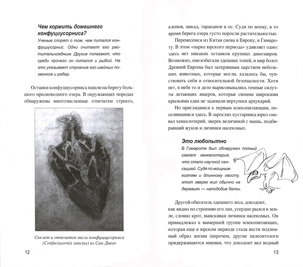 В поисках исчезнувших животных (12+)