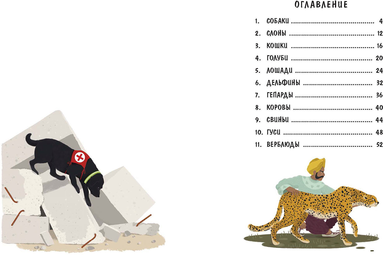 Верные помощники (ожидается поступление)