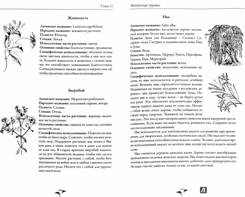 Большая книга целительных трав. Магия ароматов