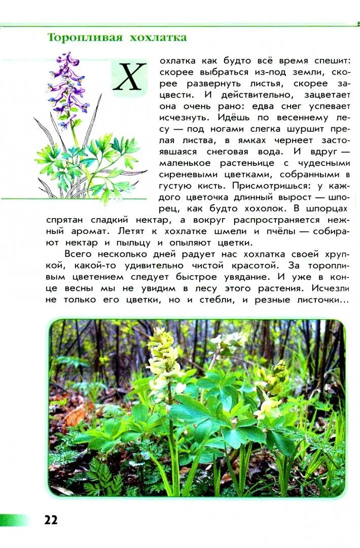 Плешаков Зеленые страницы. (Приложение 1/ Приложение 2) Книга для учащихся начальных классов (Школа России)