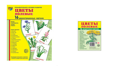*Комплект. Дем. картинки СУПЕР Цветы полевые (2 формата: 173х220 и 63х87) / ВБ