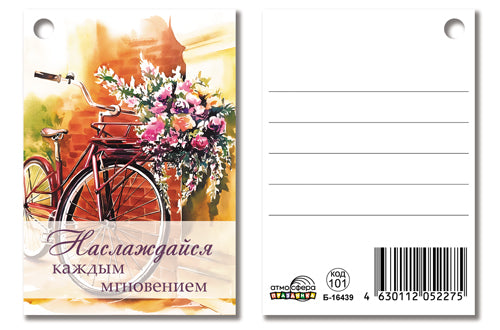 Б-16439 Birka. Наслаждайся каждым мгновеньем