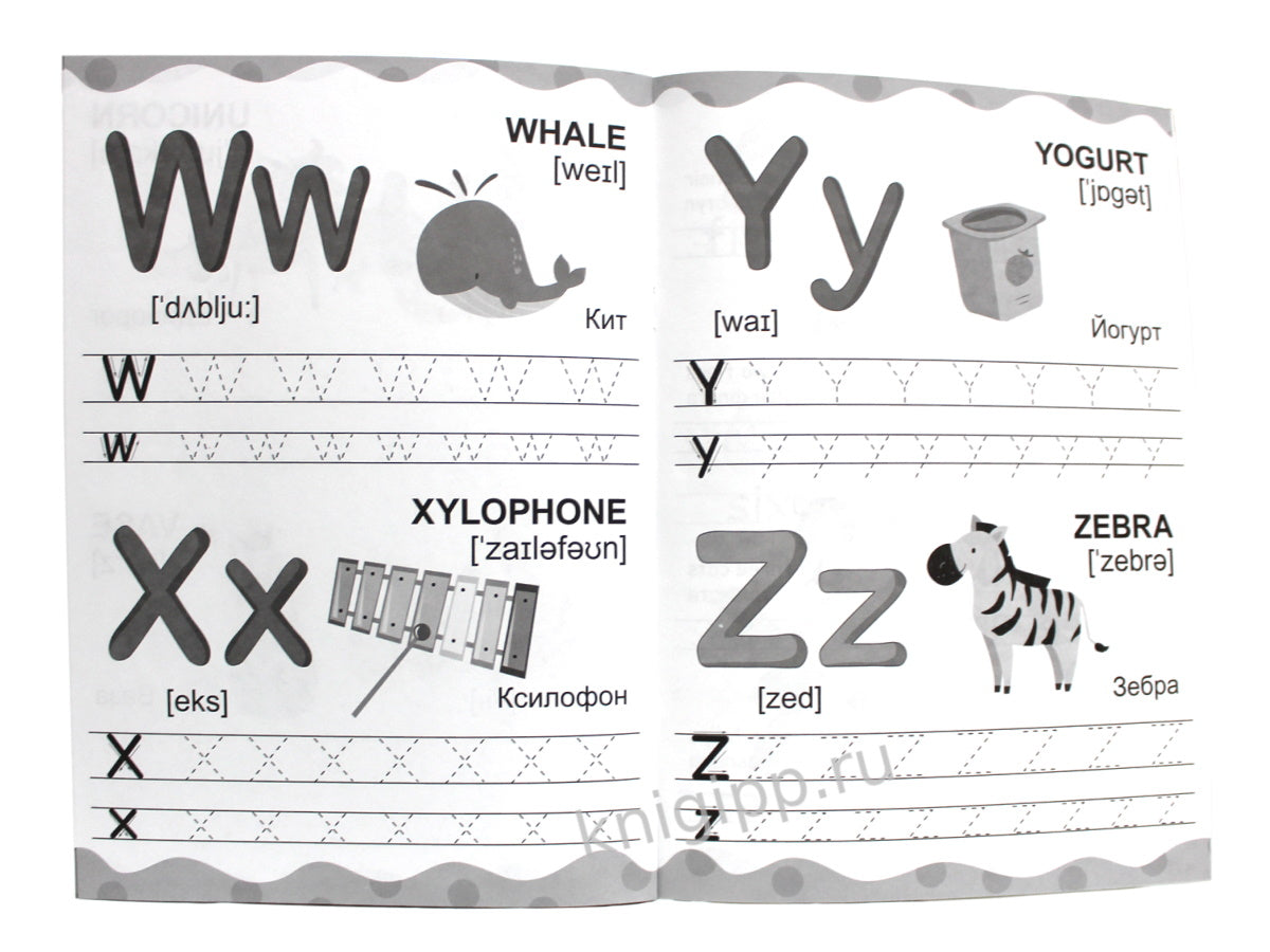 АНГЛИЙСКИЕ ПРОПИСИ эконом. ПИШЕМ БУКВЫ И ЦИФРЫ