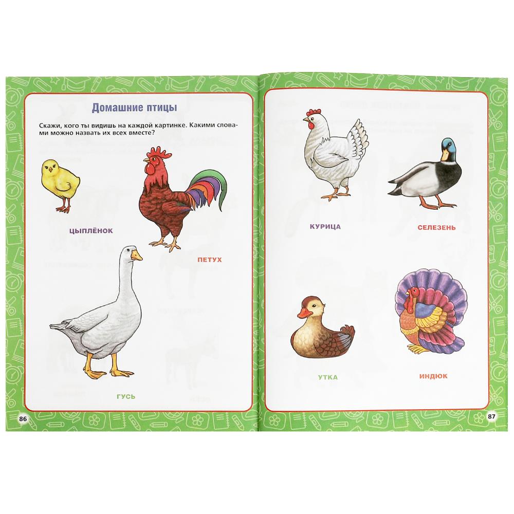 Годовой курс занятий. 3-4 года. М. А. Жукова. 205х280мм. КБС. 96 стр. Умка в кор.15шт