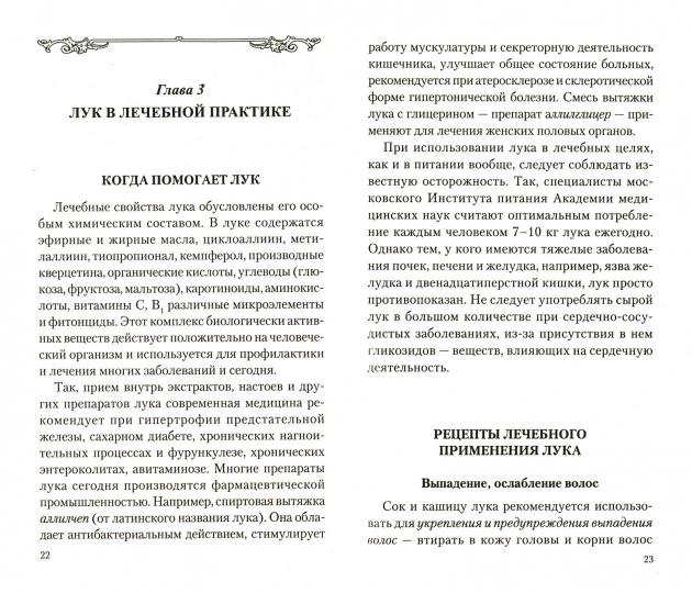 Лук: Мифы и реальность