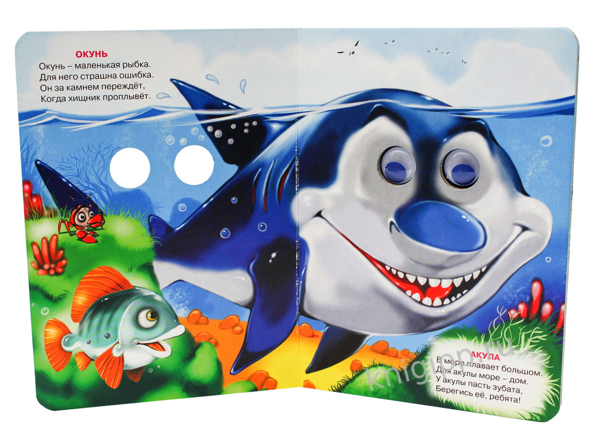 ГЛАЗКИ. КТО БОЛЬШОЙ, КТО МАЛЕНЬКИЙ?