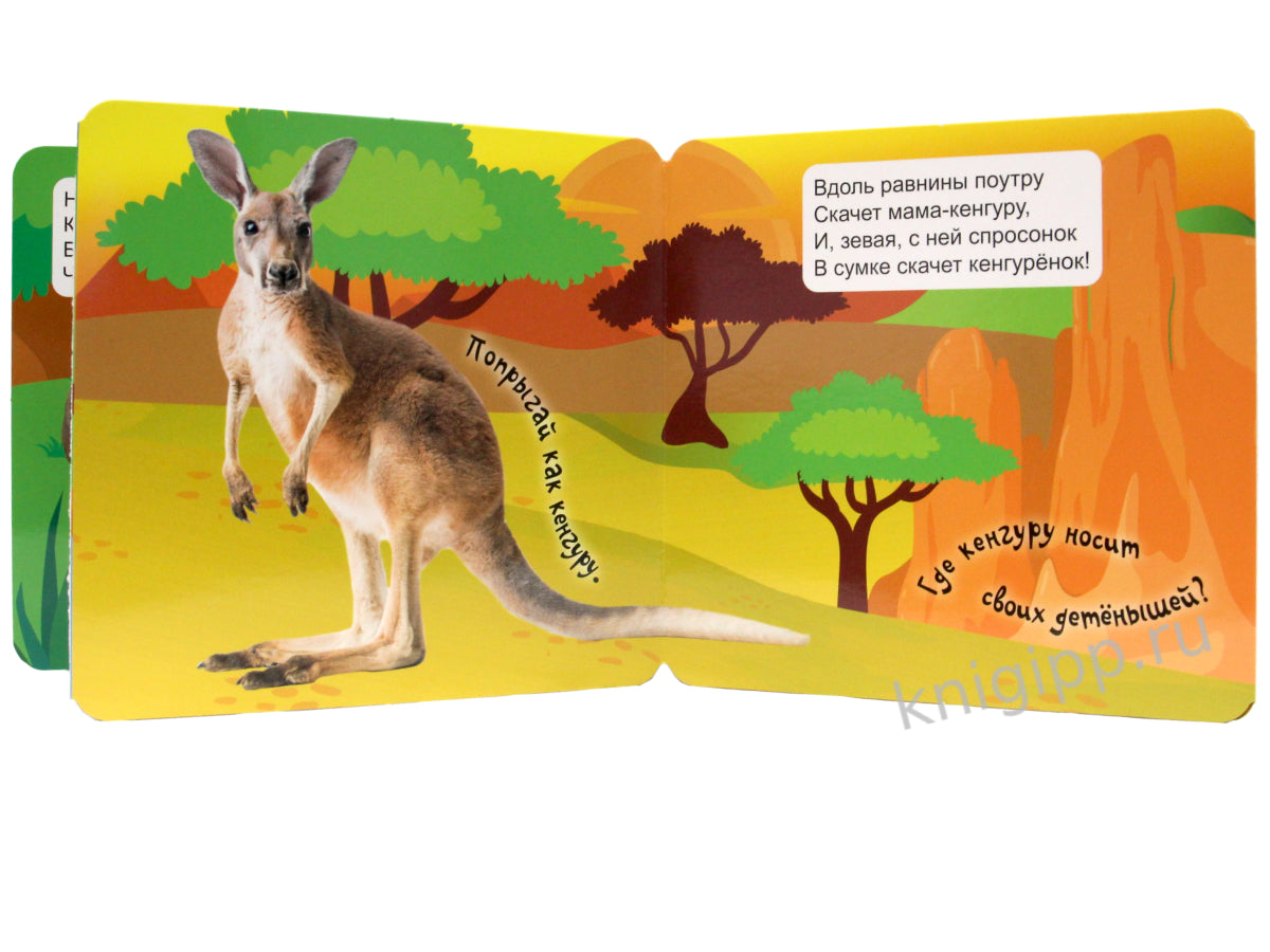 КНИЖКА-ГАРМОШКА. ДИКИЕ ЖИВОТНЫЕ