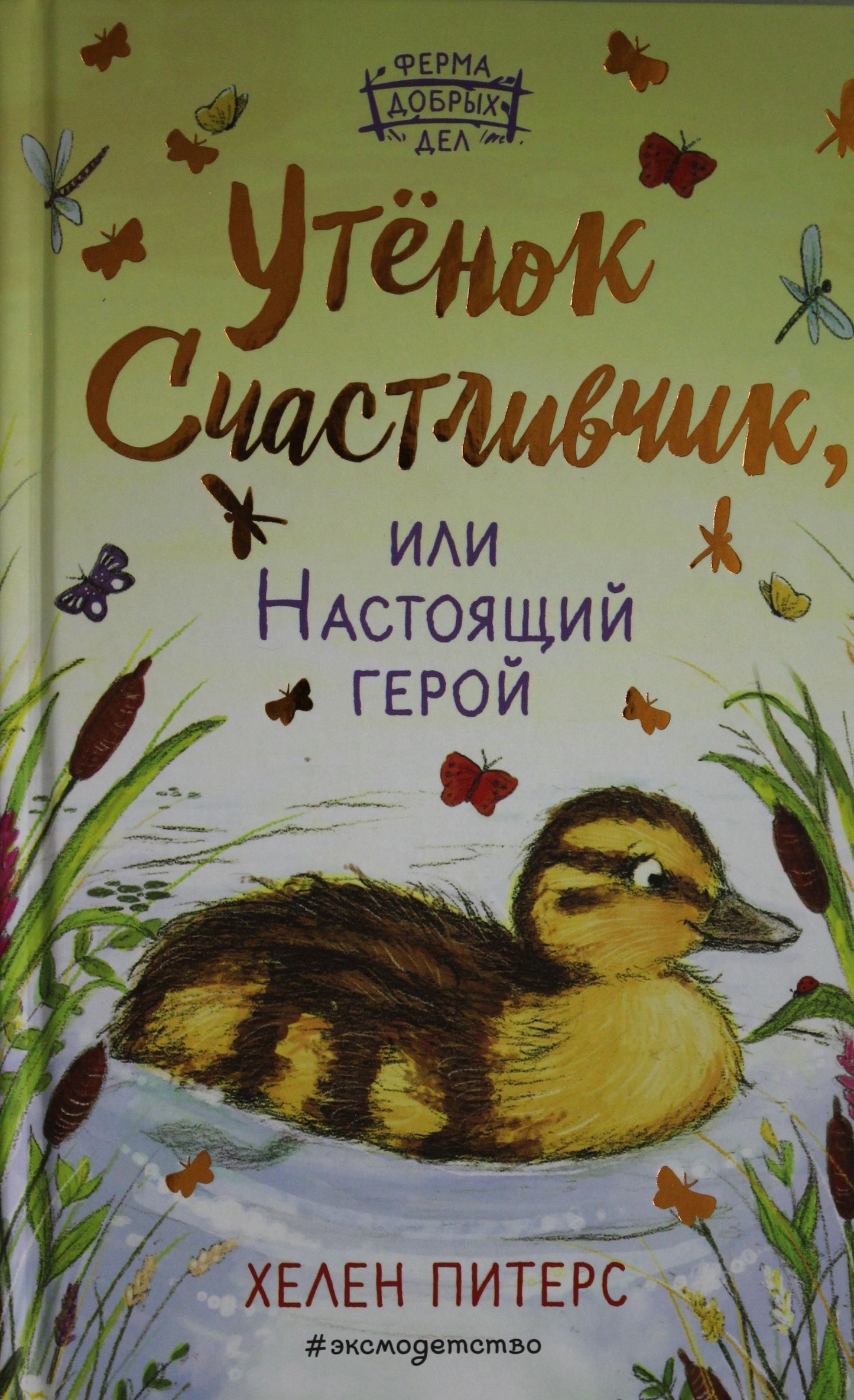 Утенок Счастливчик, или Настоящий герой (#2)