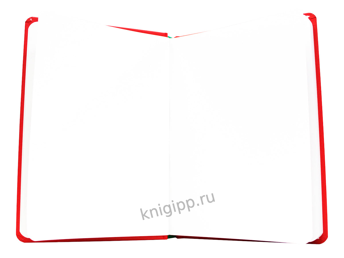 MyArt. СКЕТЧБУК "В ТРЕНДЕ" КАПИБАРА И ГУСЬ